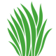 Rubio Lawn Care II LLC